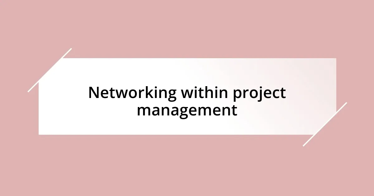 Networking within project management