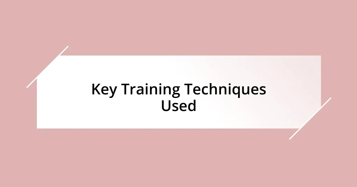 Key Training Techniques Used